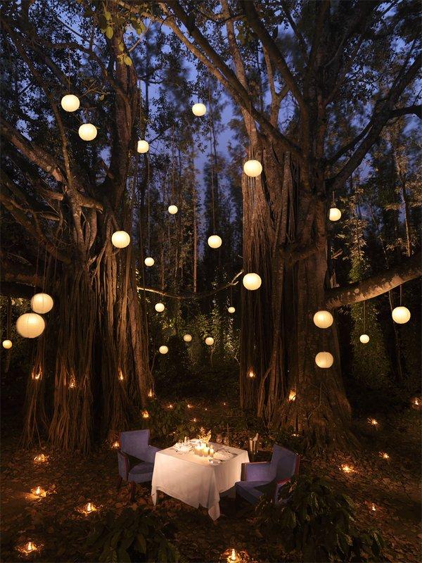 The Serai Chikmagalur Restaurant photo